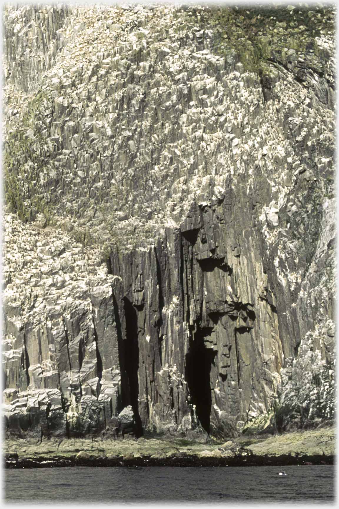 Cliff face with caves.