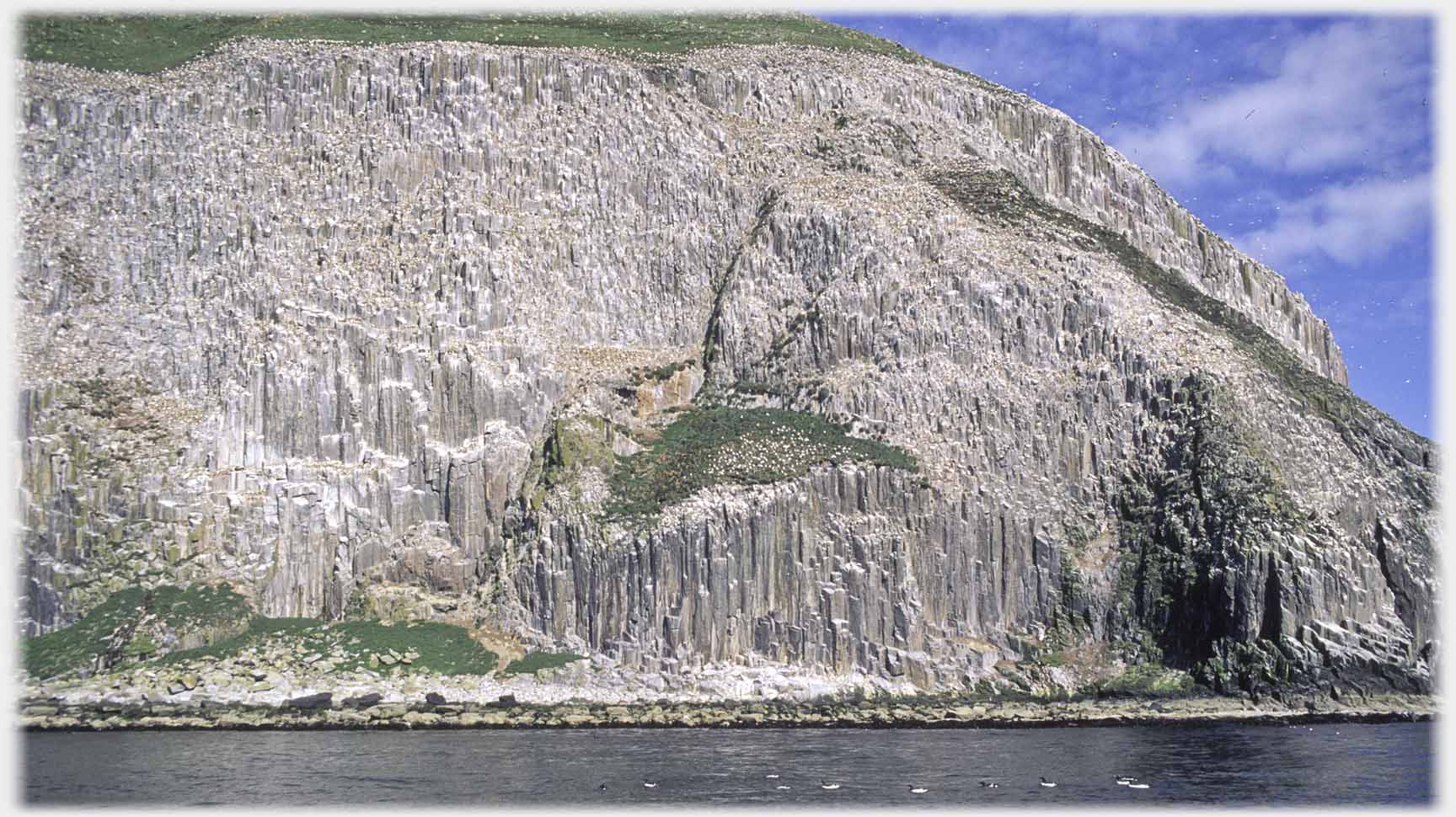 Cliffs from sea, birds swimming below them.