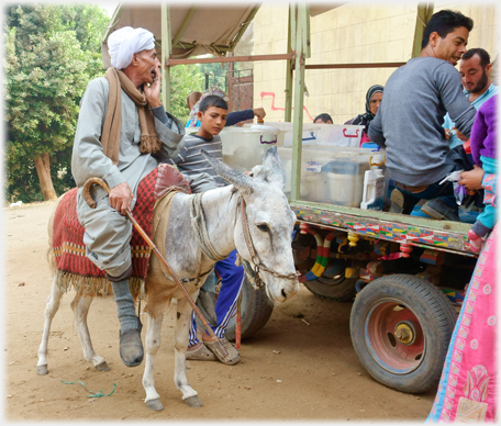 Man on donkey by vet's cart.