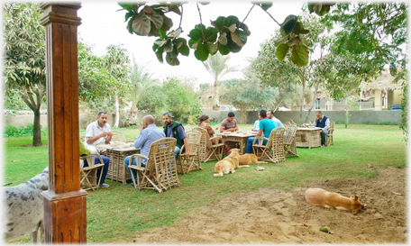 Lunch at the farm.