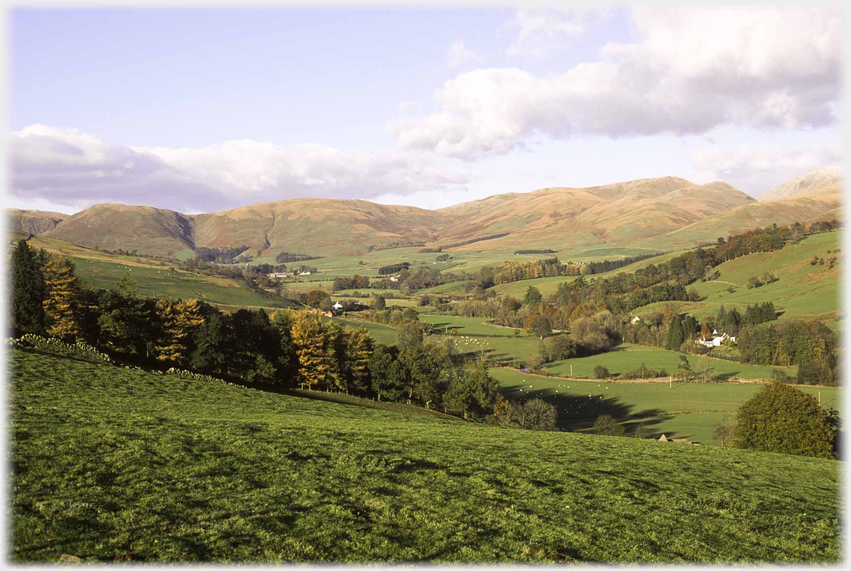 Wide, long valley view.