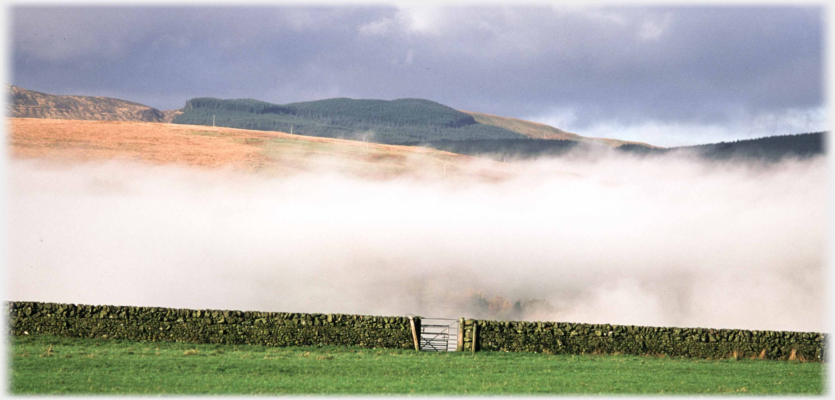 Field and trees appearing above line of mist-clouds behind dyke with gate.