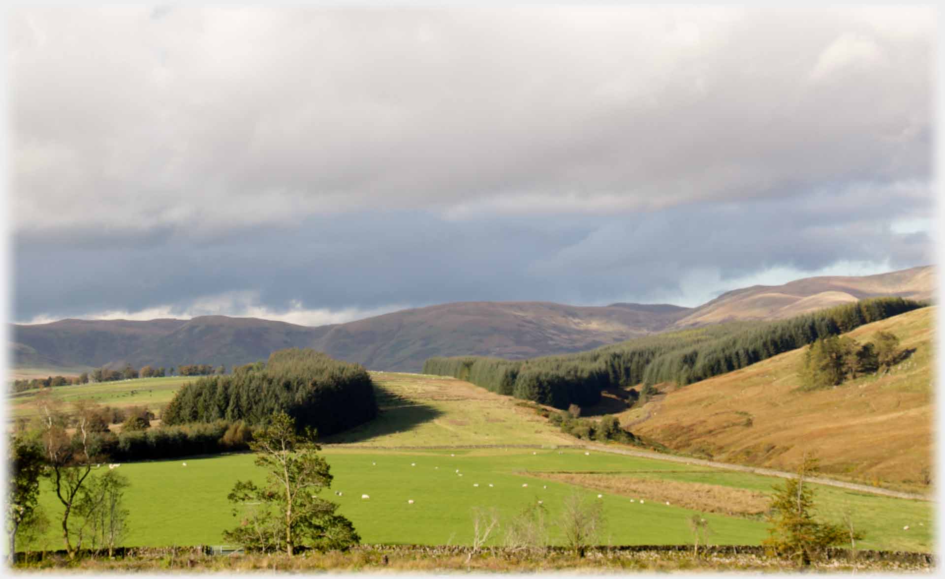Landscape of distant hills and clumps of trees by fields nearer.