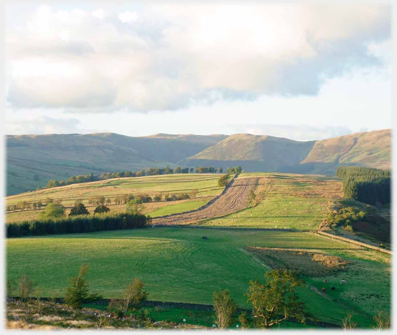 Repeated view but with the trees to the left mostly gone.