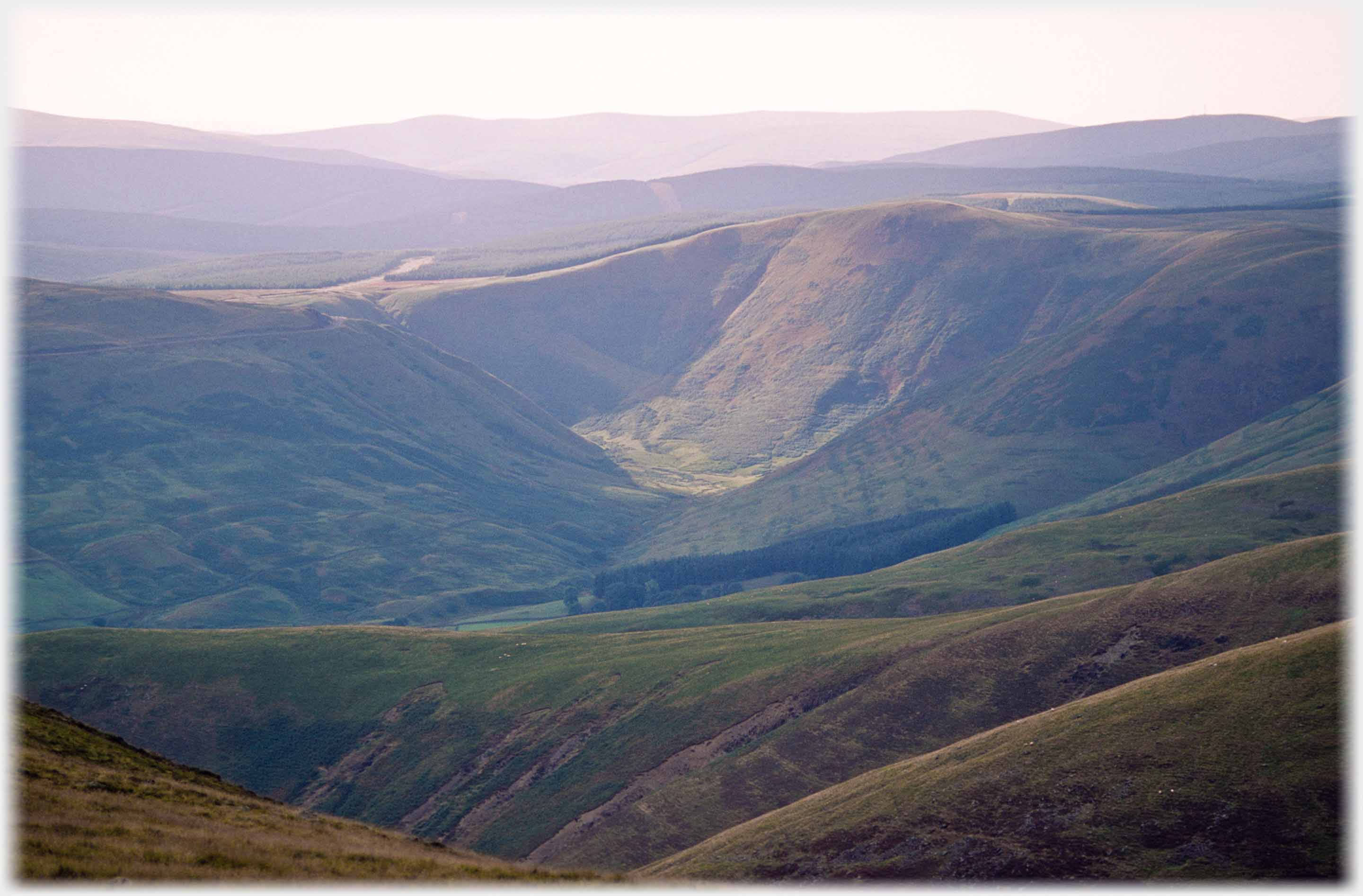 Looking down into the Beeftub from Cocklaw Knowe.