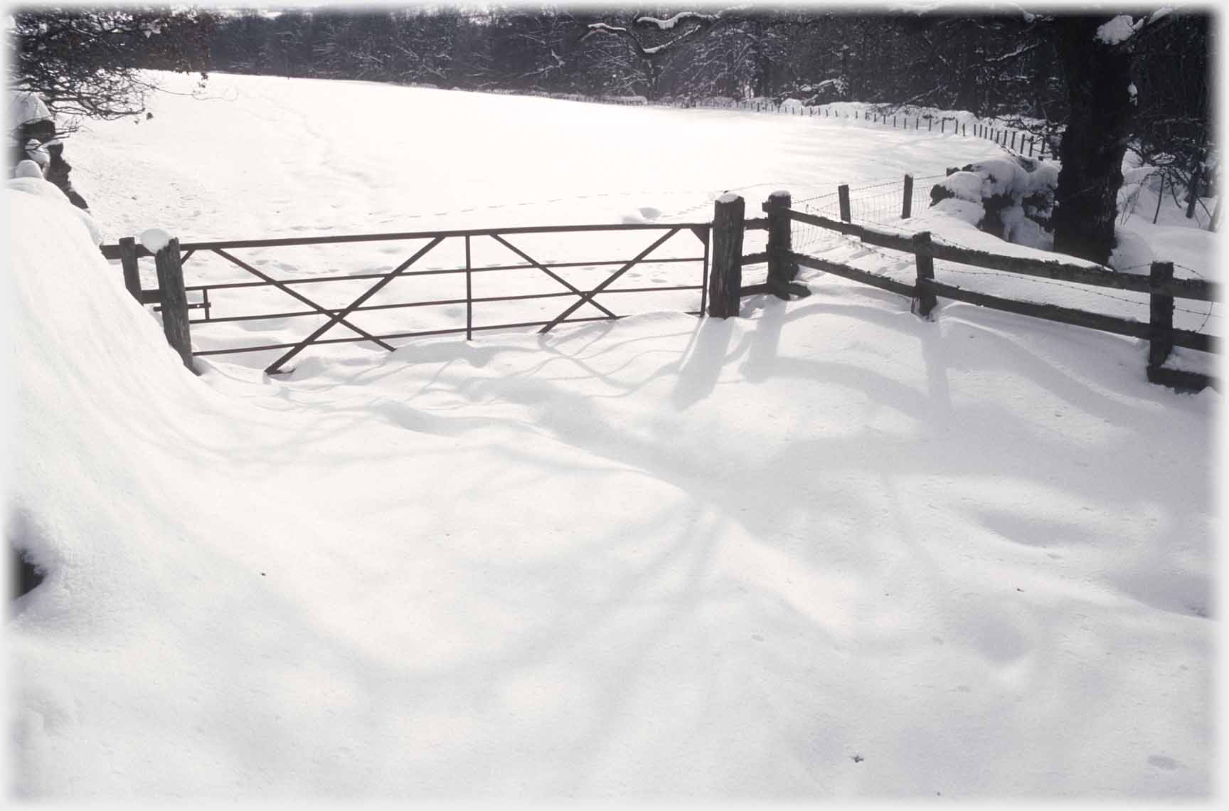 Gate and fence in foot deep snow.