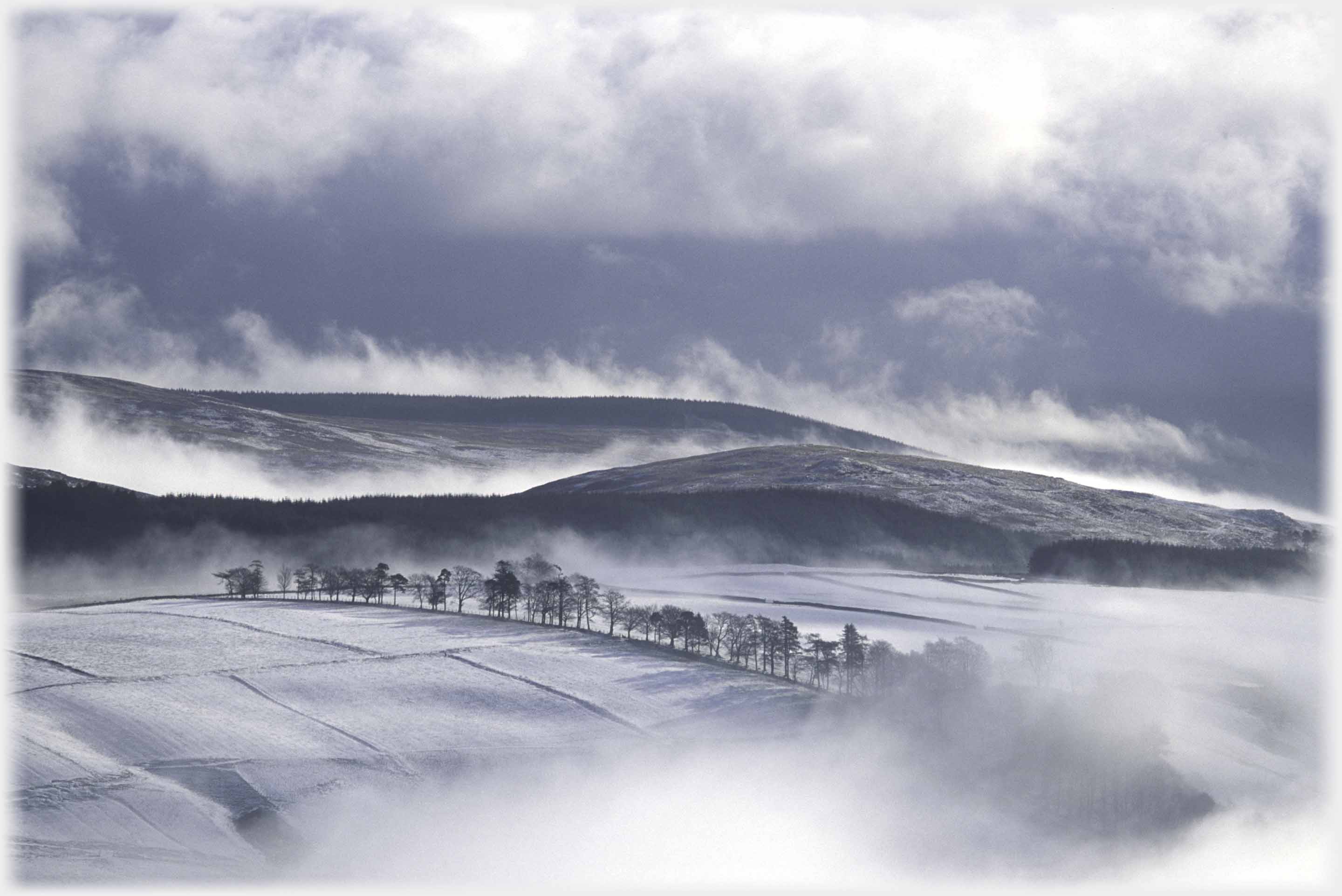 Black and white winter shot of hills and tree line with clouds around and below them.