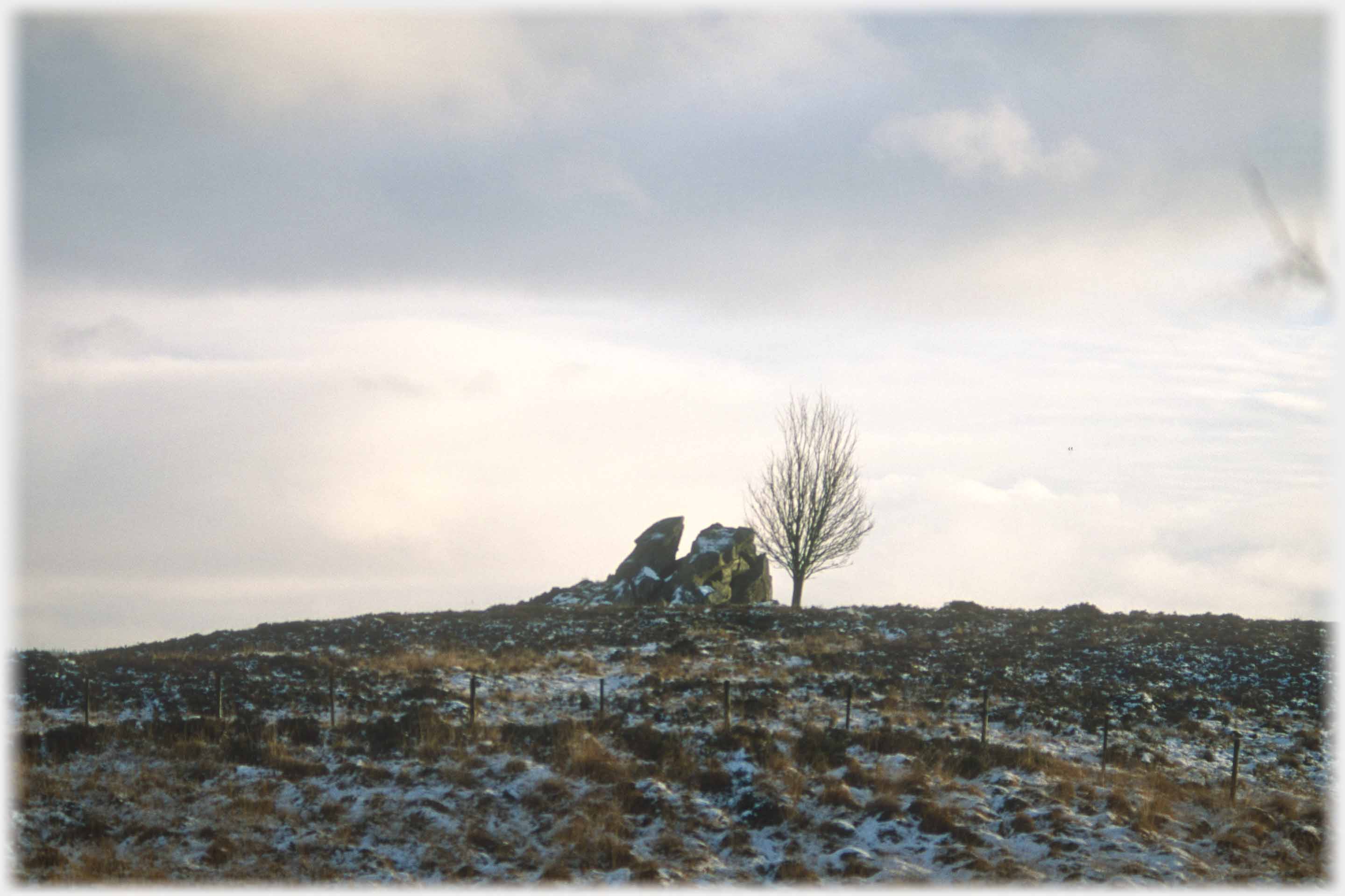 Tree and stones on skyline.