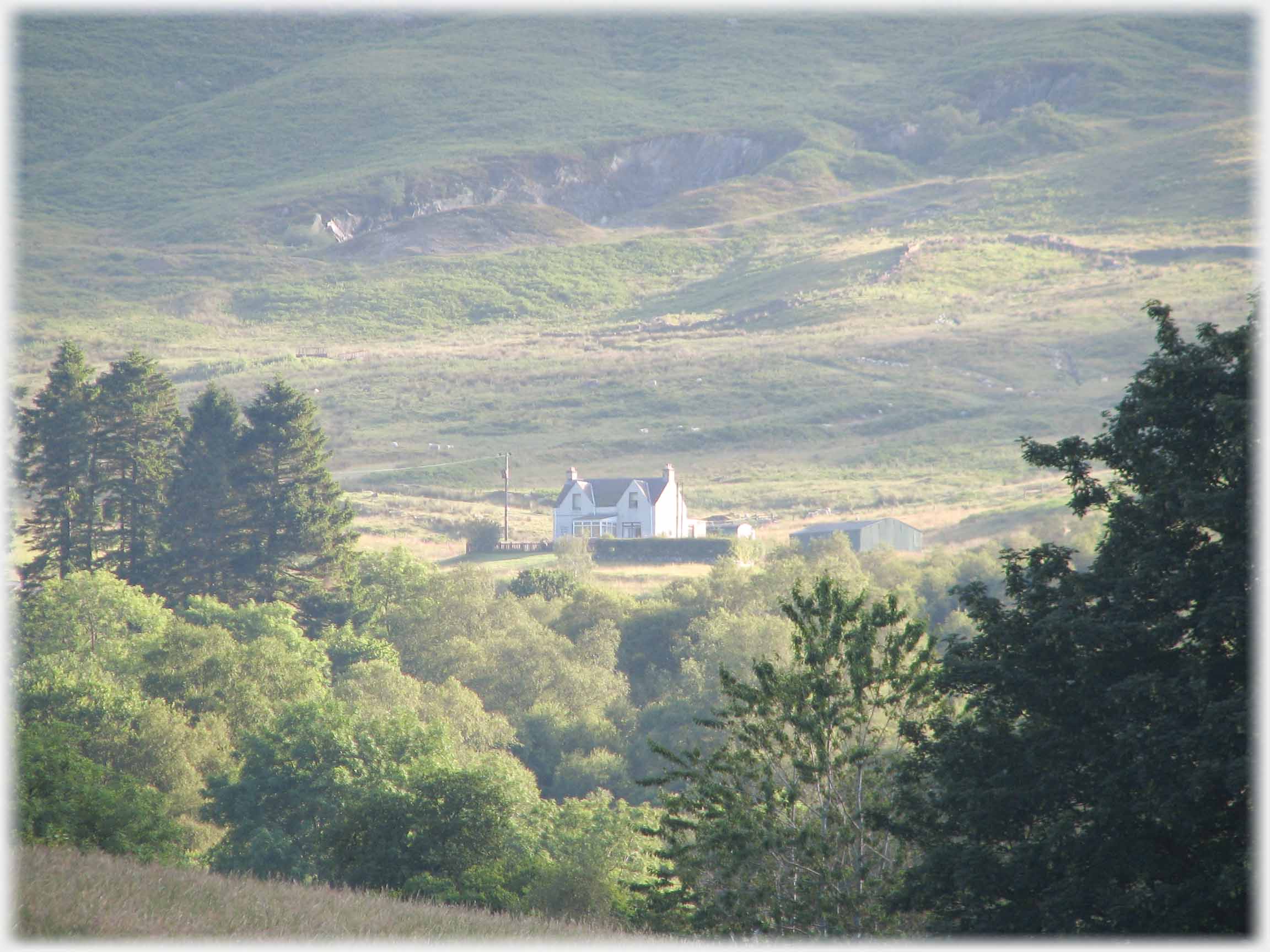 House framed by trees.