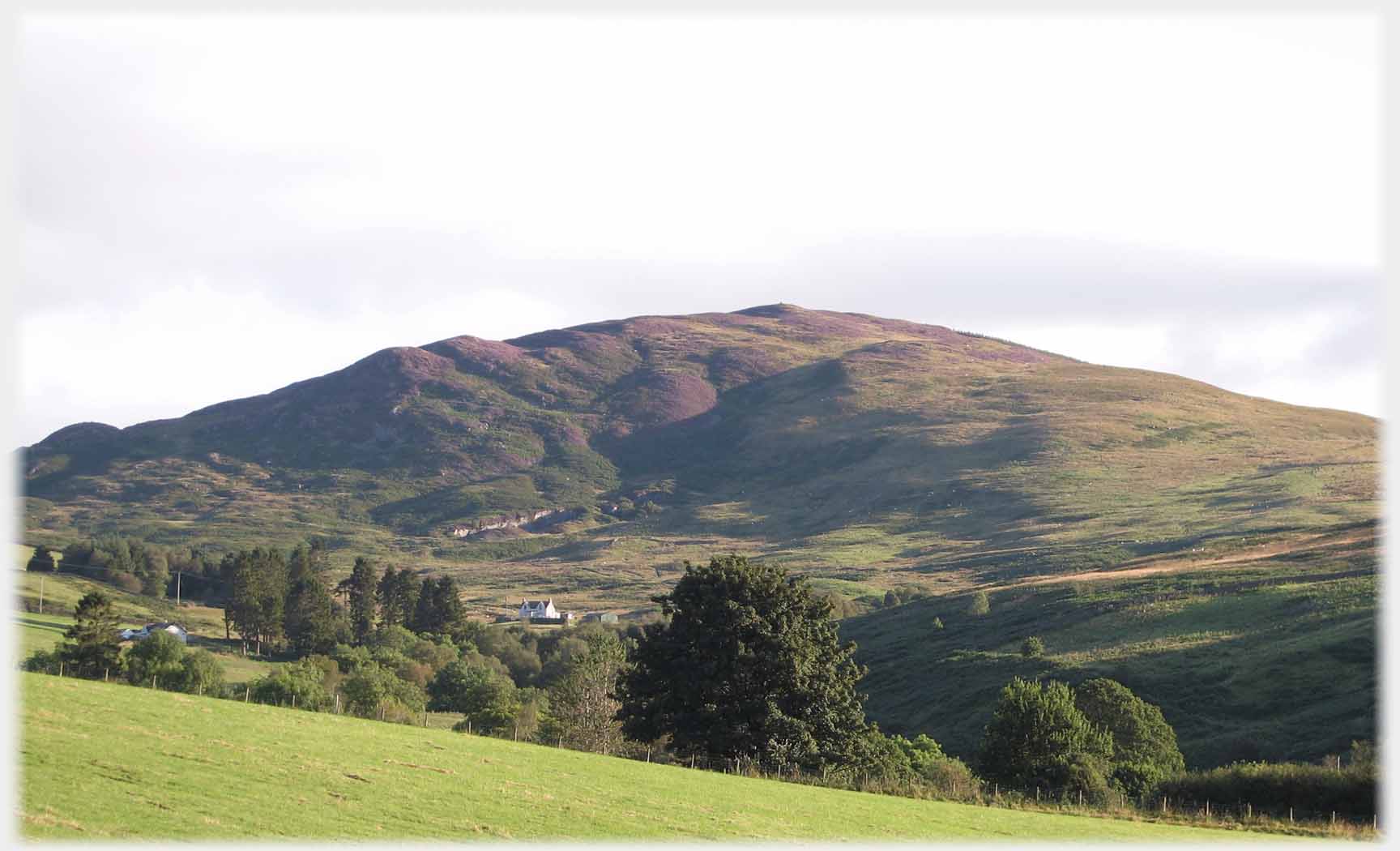 Setting sun on hillside.