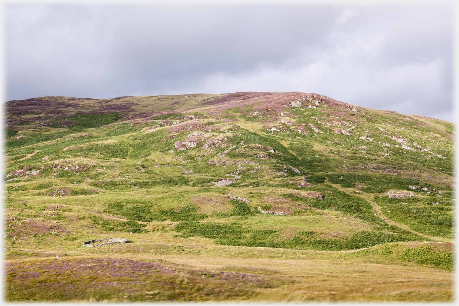 Rough hillside with small circular enclosure.