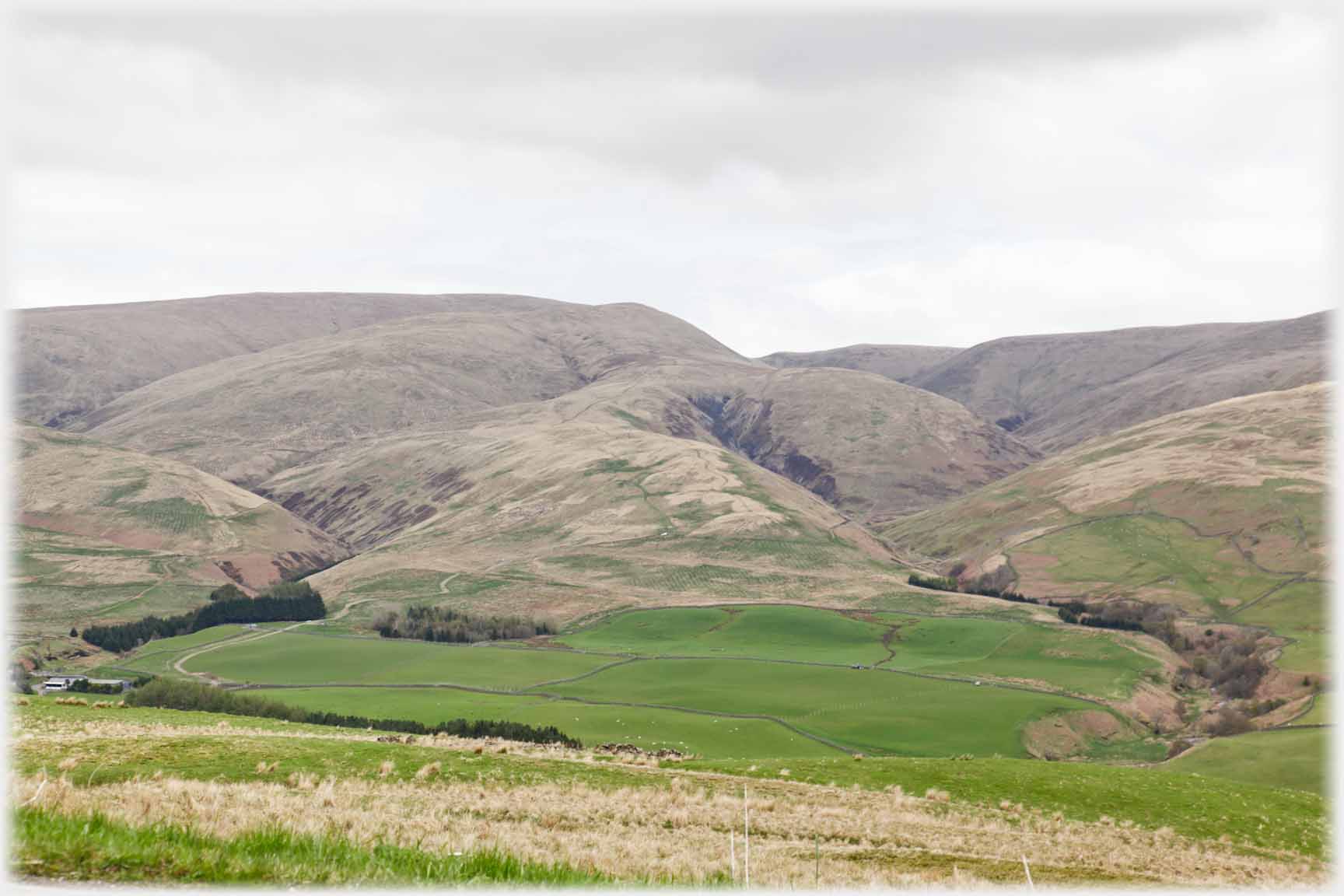 The cleft tamed by the soft green of summer.