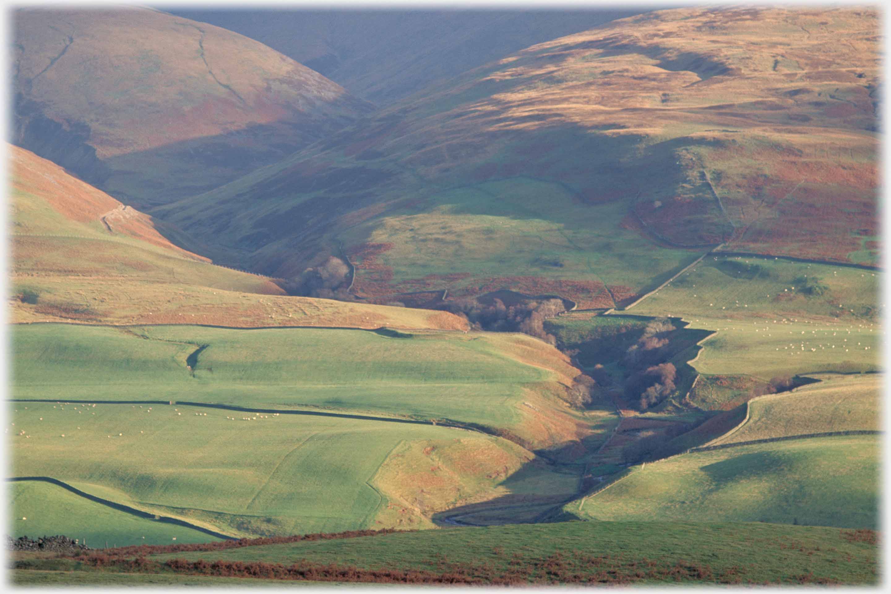 Deep cleft between dyked fields leading up into folds of bracken covered slopes in autumn.