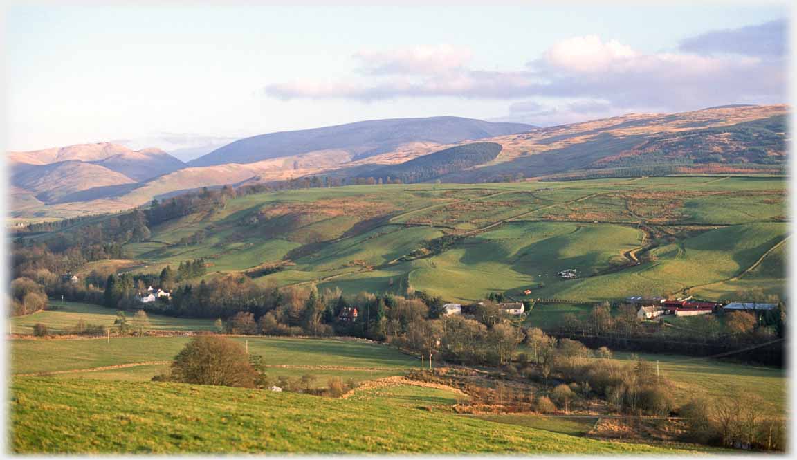 Treed valley bottom.