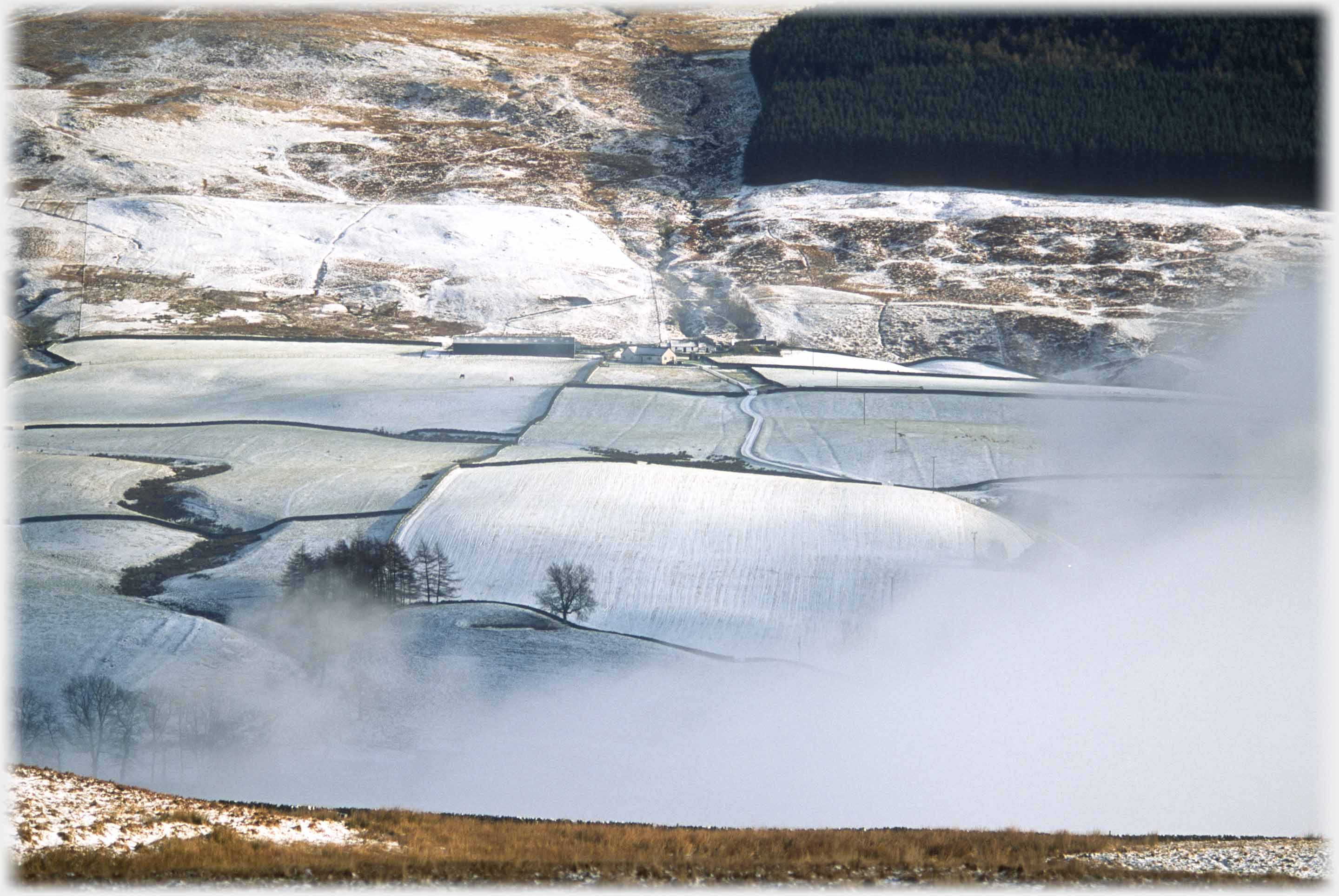 Lower half of fields, green just showing through snow, above rough hillside and woods.
