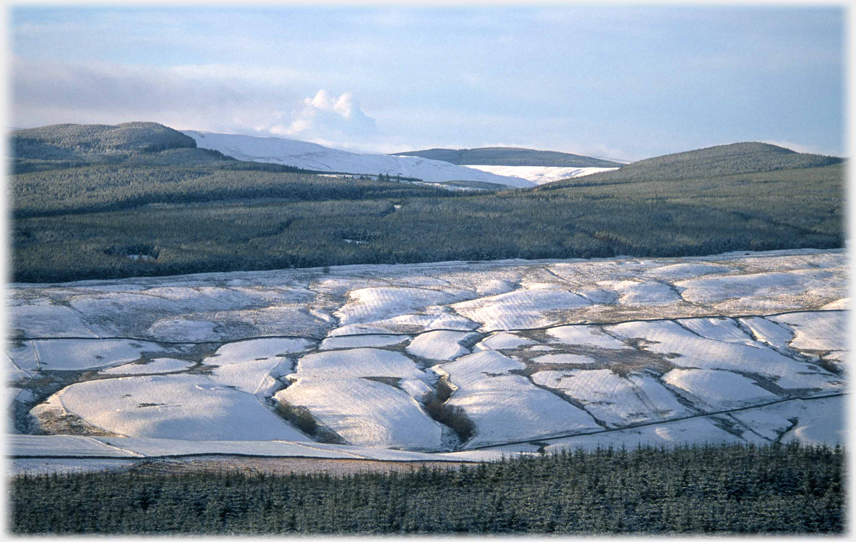 Quilted landscape of snowy undulations between forests.