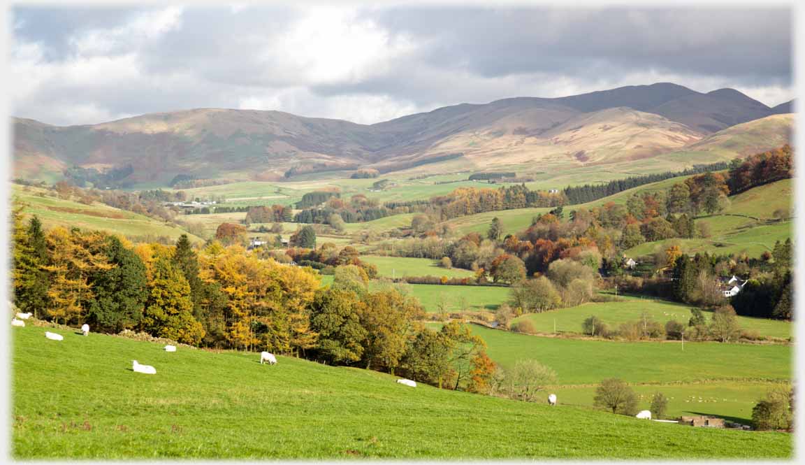 Wide open valley with trees and hills at end.