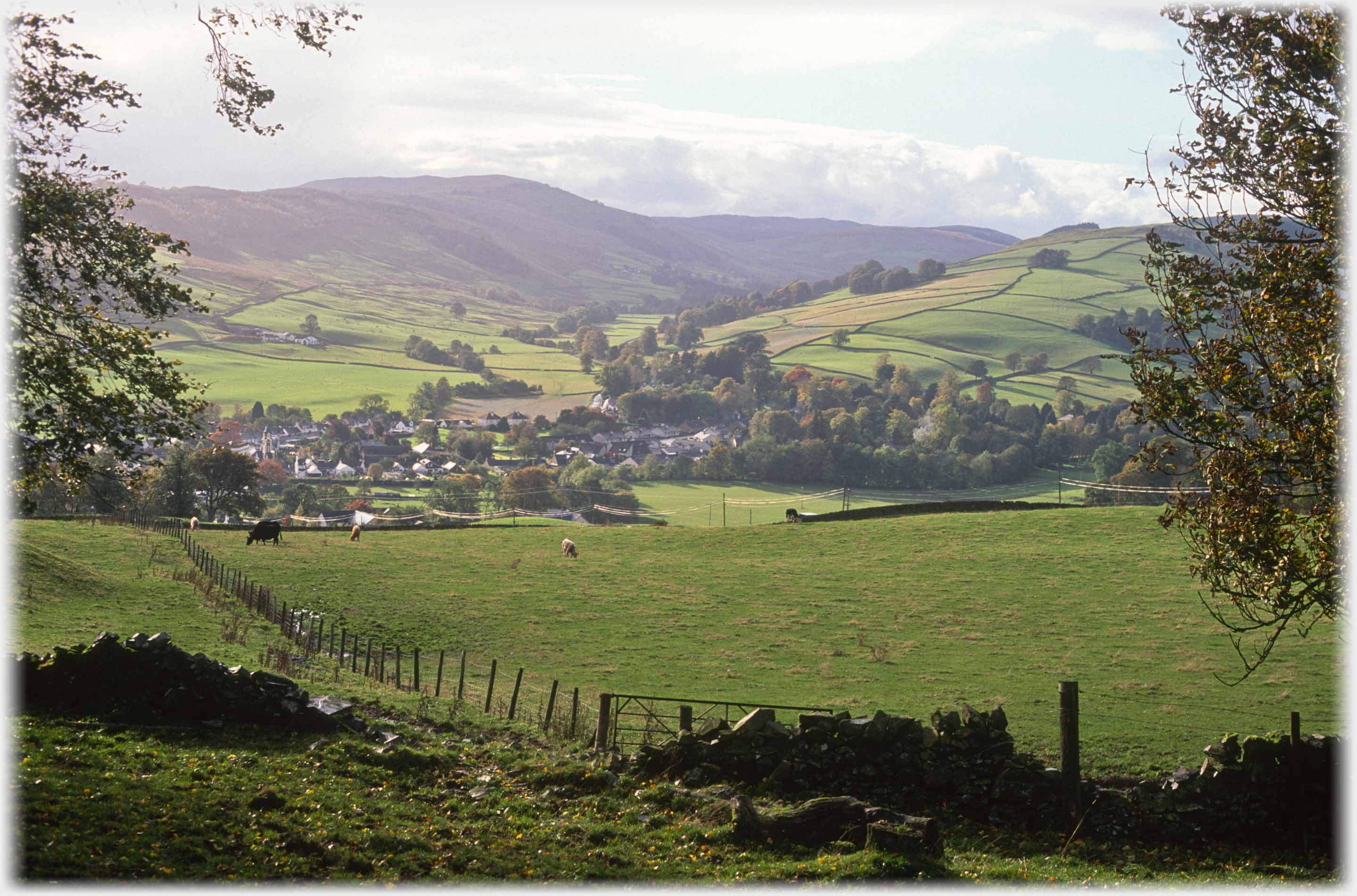 View down into wide treed valley with village.
