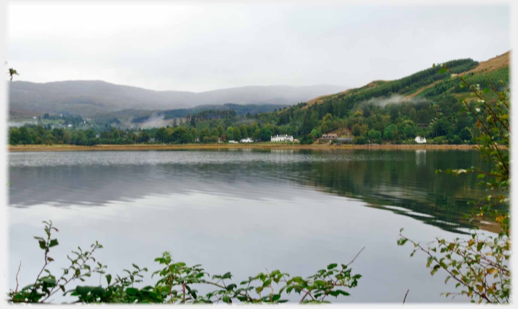 Houses amongst trees with whisps of cloud across water.