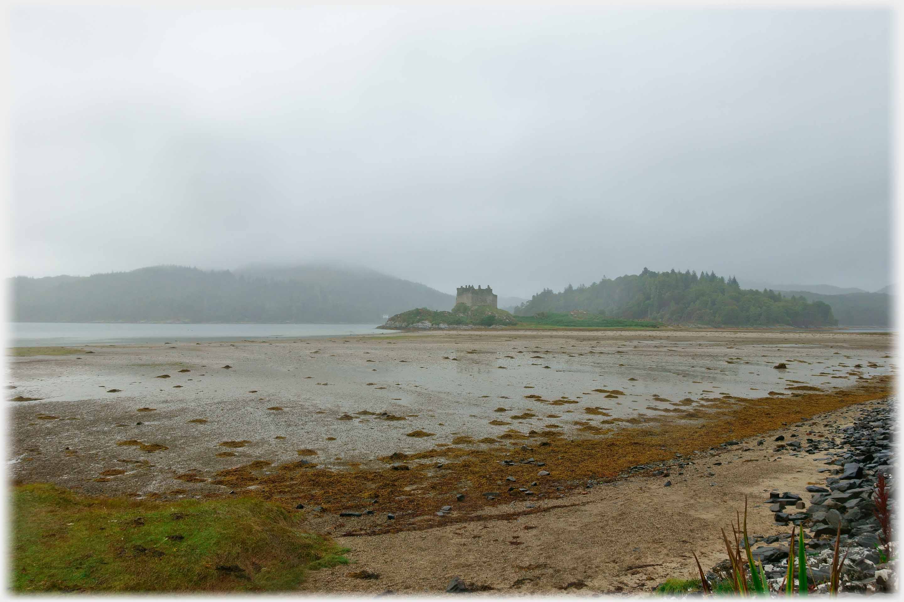 intertidal [sic - however, shouldn't it be intratidal] zone with tide out and castle sitting on islet, mist around.