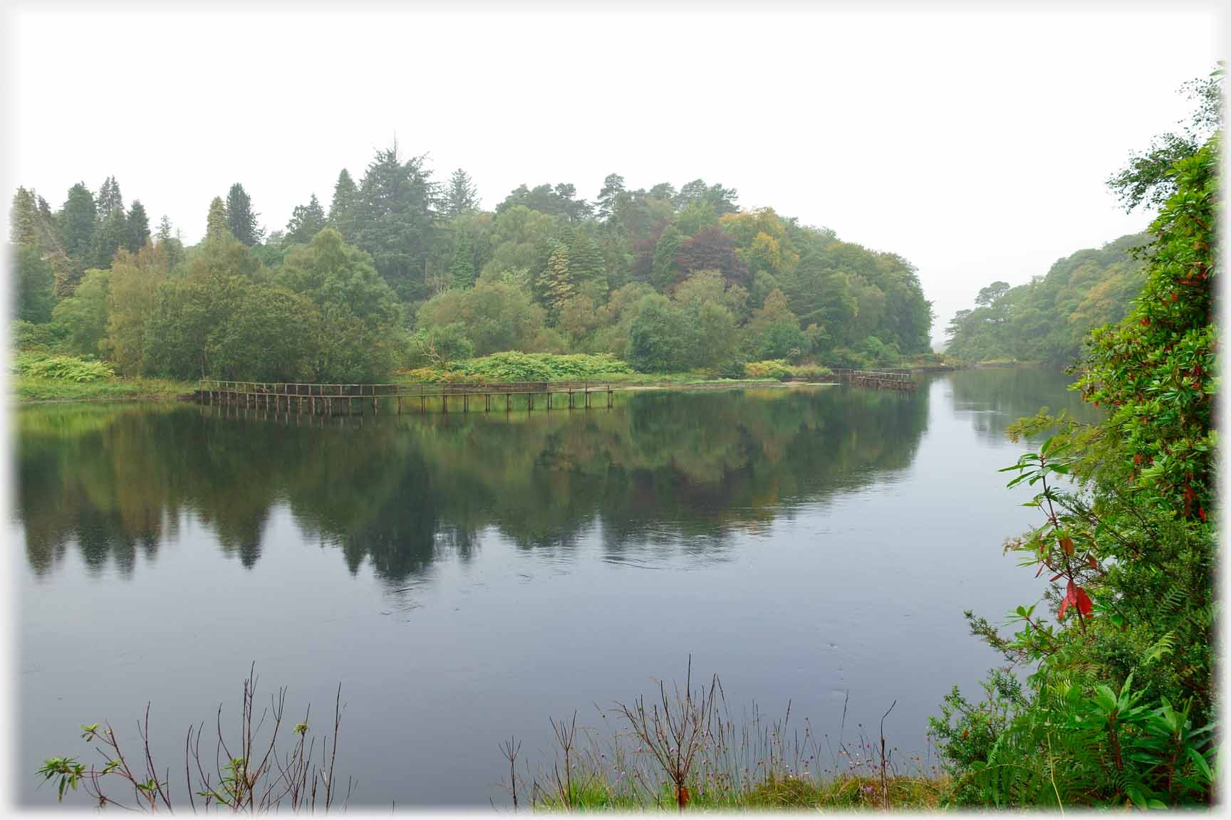 Thickly wooded river bank with fishermen's pier.