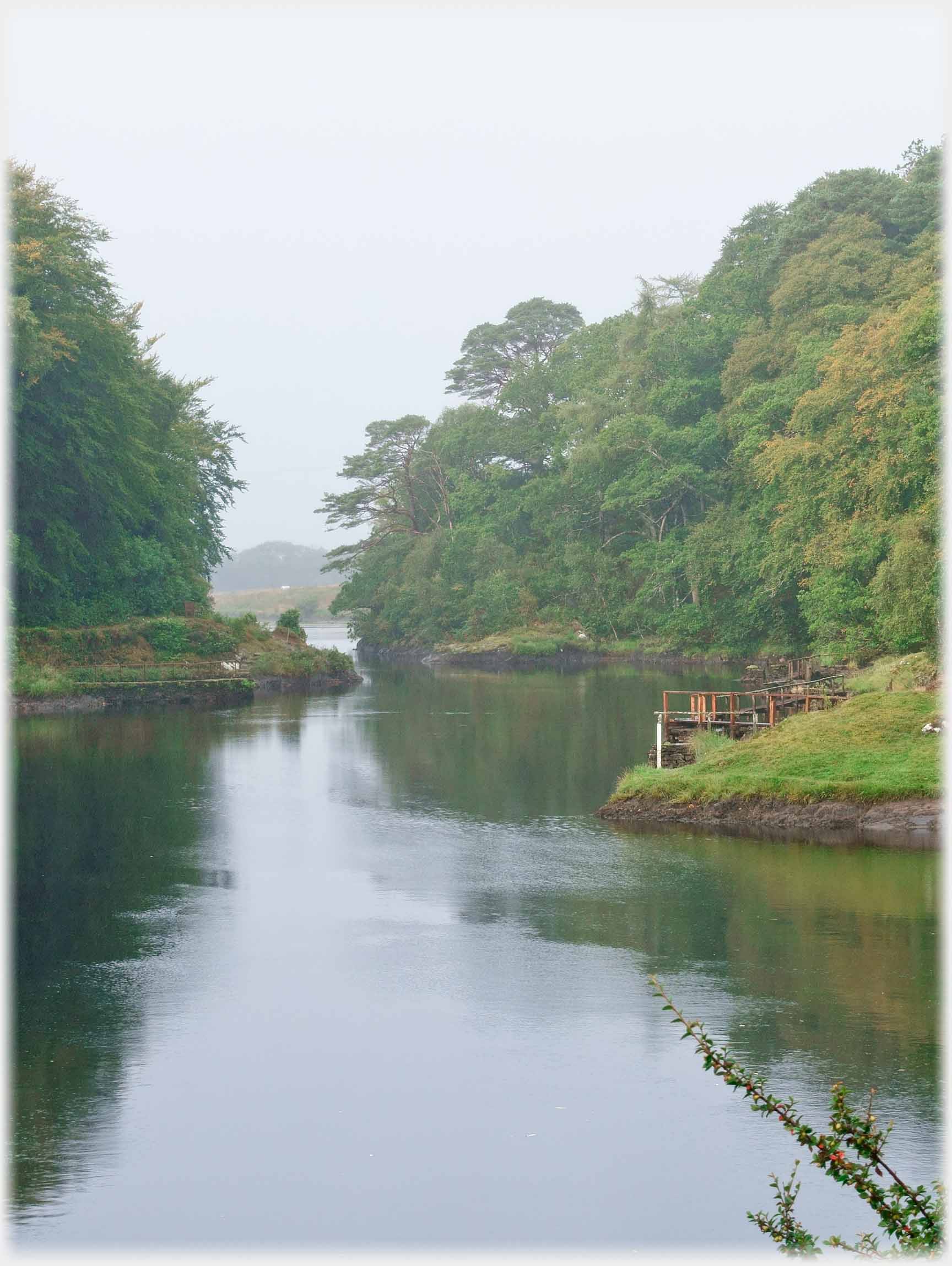 River running between thickly wooded banks.