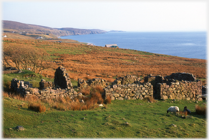Foreground roofless croft with new roof nearer sea and cliffs in distance.