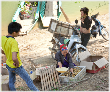 Woman selling ducklings.