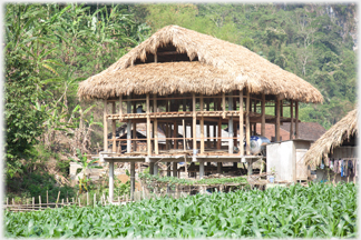 Thai house under construction.