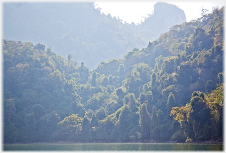 Hills at the head of the lake covered in trees.