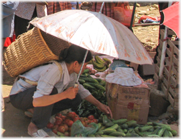 Choosing vegetables.