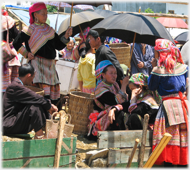 Gathering under umbrellas.