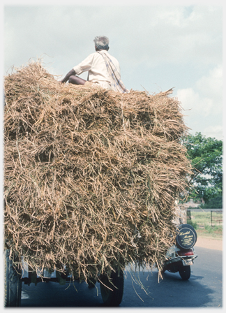 Man on top of high heap of straw on cart on road.
