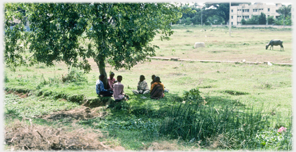 Tree with group seated under it and fields beyond.