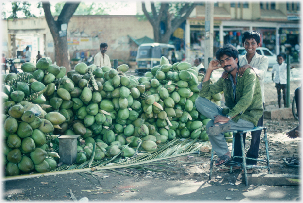Man and boy beside large pile of coconuts in their outer shells.
