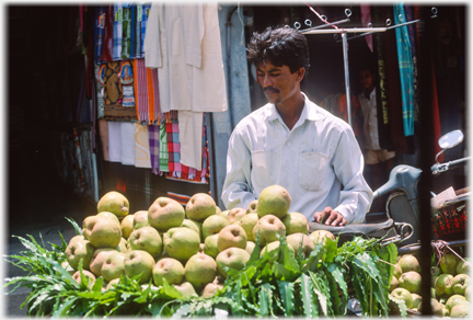 Man with bike basket of apples.