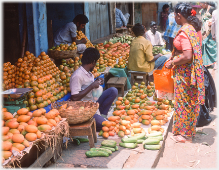 Woman holding orange basket in front of orange mangoes and oranges wearing an orange sari.