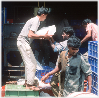 Man passing a lump of ice to another.