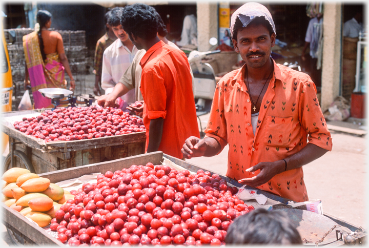 Man standing beside a cycle-cart of plumbs.