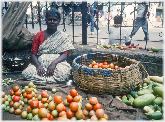 Woman sitting on ground with pyramids of tomatoes spread in front of her.