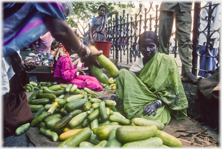 Woman in marrow green sari wih piles of marrows.