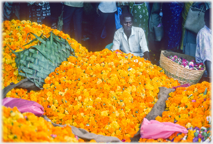 Mna sitting behind great piles of flowers.