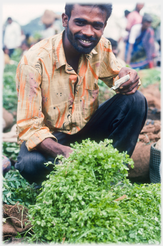 Man offering handful of herbs.