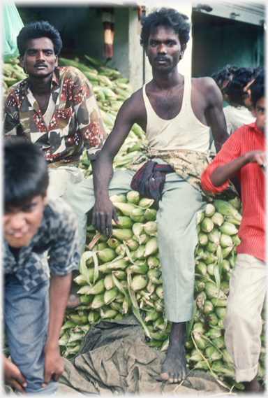 Two men sitting on pile of sweetcorn looking at camera - one assessing, one vacant.