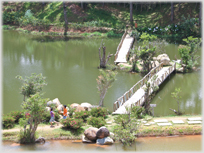 View of bridges in Golden Valley Park.