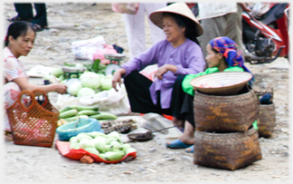 Women around vegetable seller .