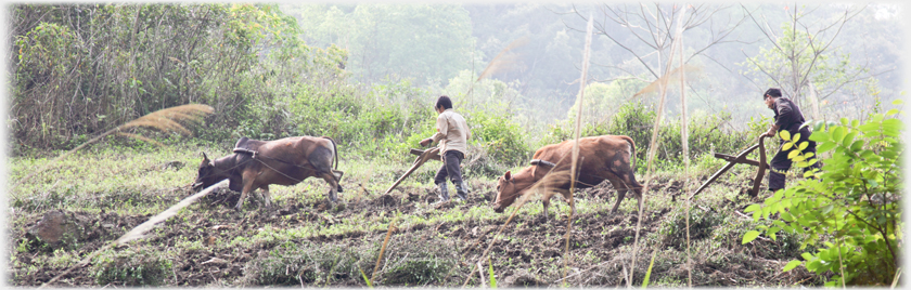 Two ploughermen on hillside.