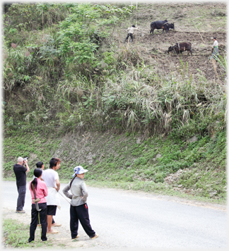 Photographer and locals watching ploughers.