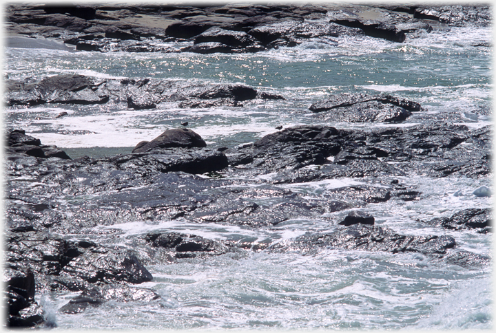 Light on the rocks of the shore.