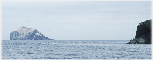 Bass Rock sea and nearby land clifs with two birds.